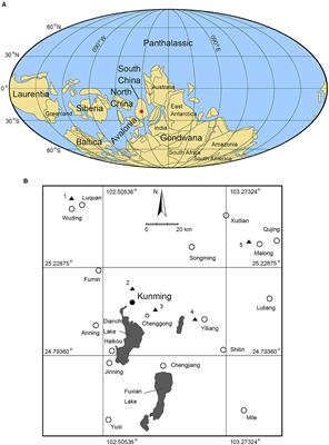 A new primitive polychaete with eyes from the lower Cambrian Guanshan biota of Yunnan Province, China